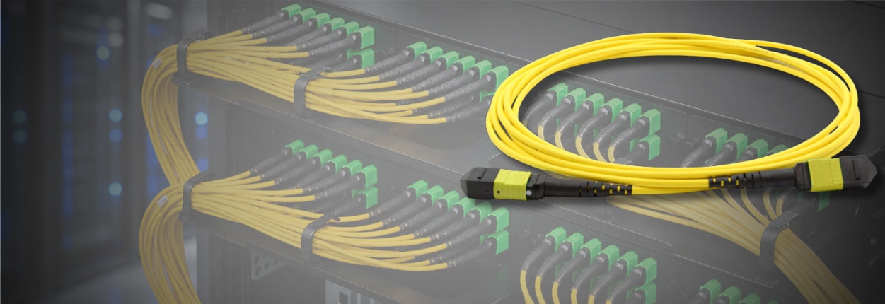 MPO Trunk Cables